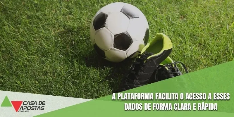 A plataforma facilita o acesso a esses dados de forma clara e rápida