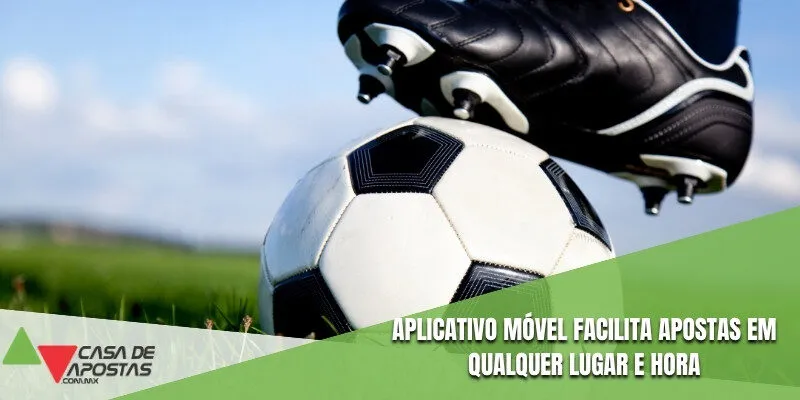 Aplicativo móvel facilita apostas em qualquer lugar e hora