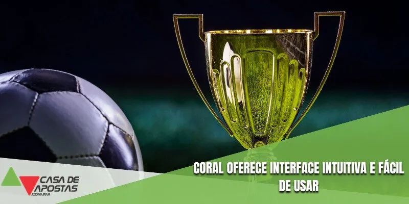 Coral oferece interface intuitiva e fácil de usar