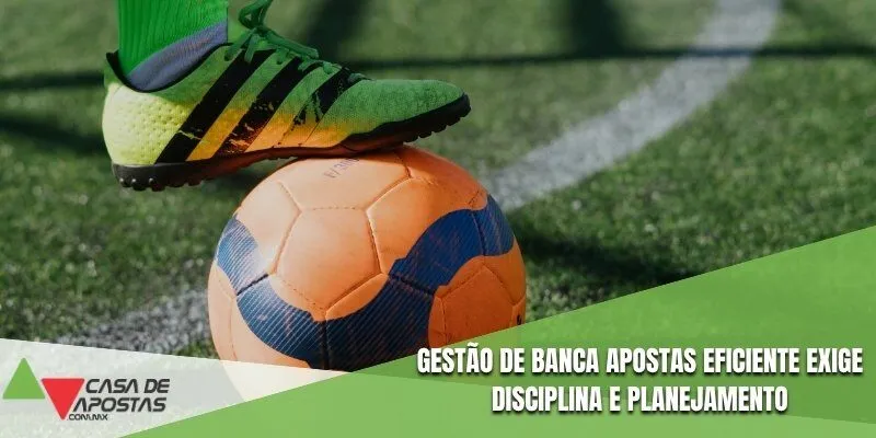 Gestão de banca apostas eficiente exige disciplina e planejamento