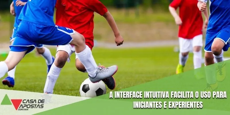 A interface do intuitiva facilita o uso para o iniciantes e experientes