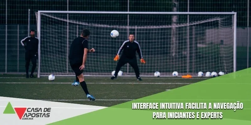 Interface intuitiva facilita a navegação para iniciantes e experts